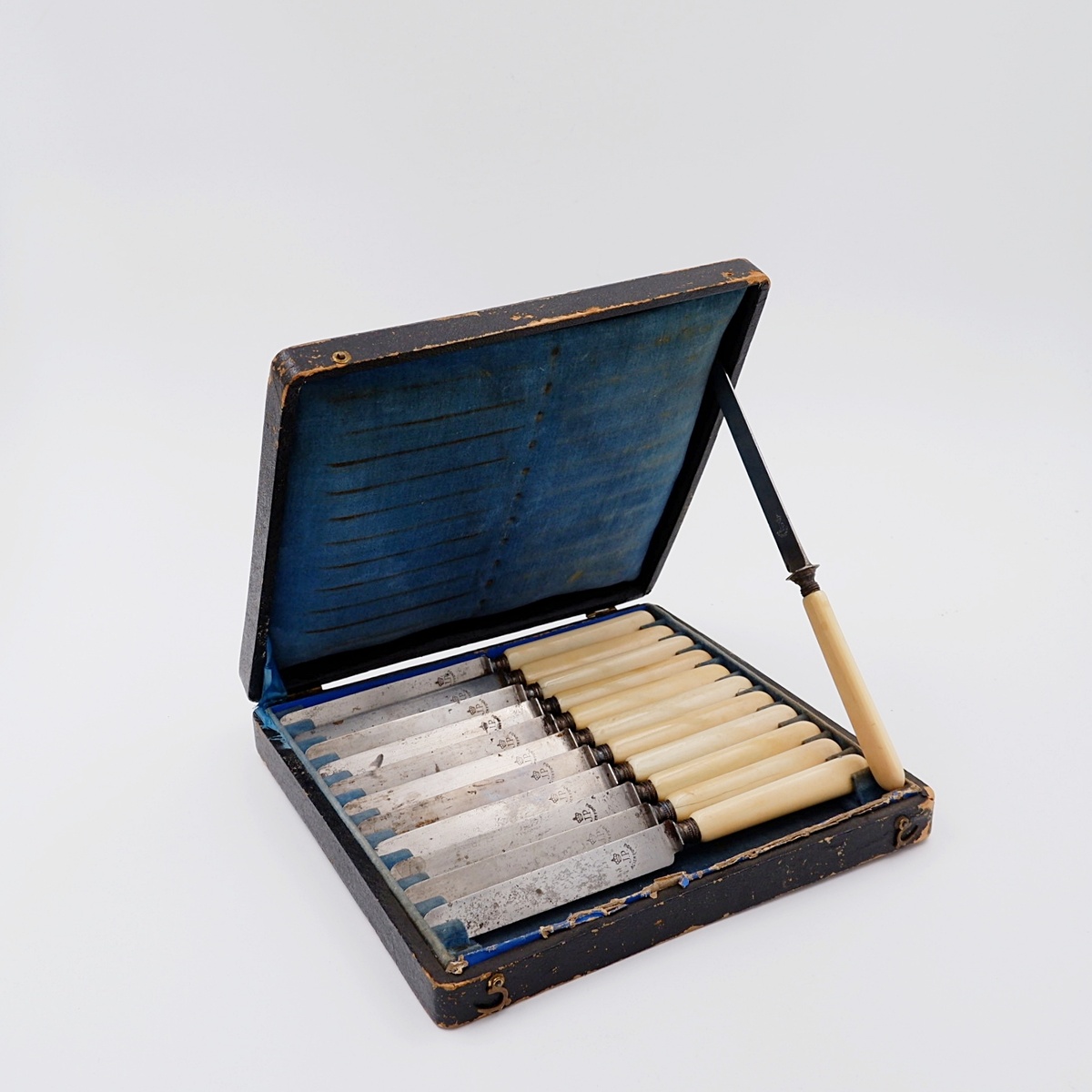 Box of 12 