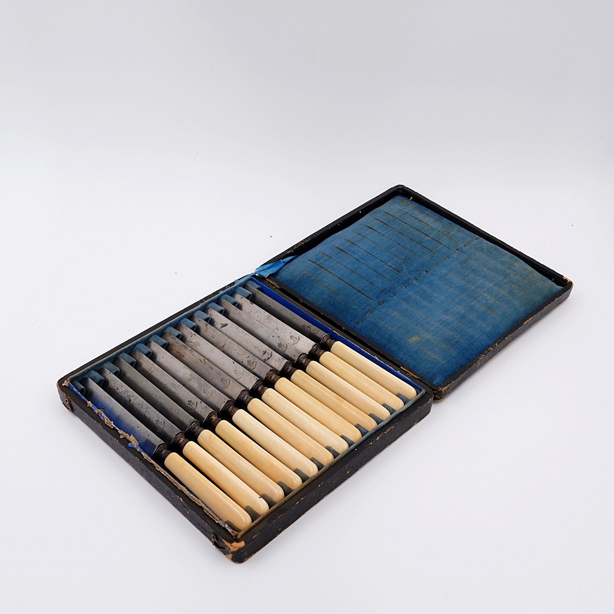 Box of 12 