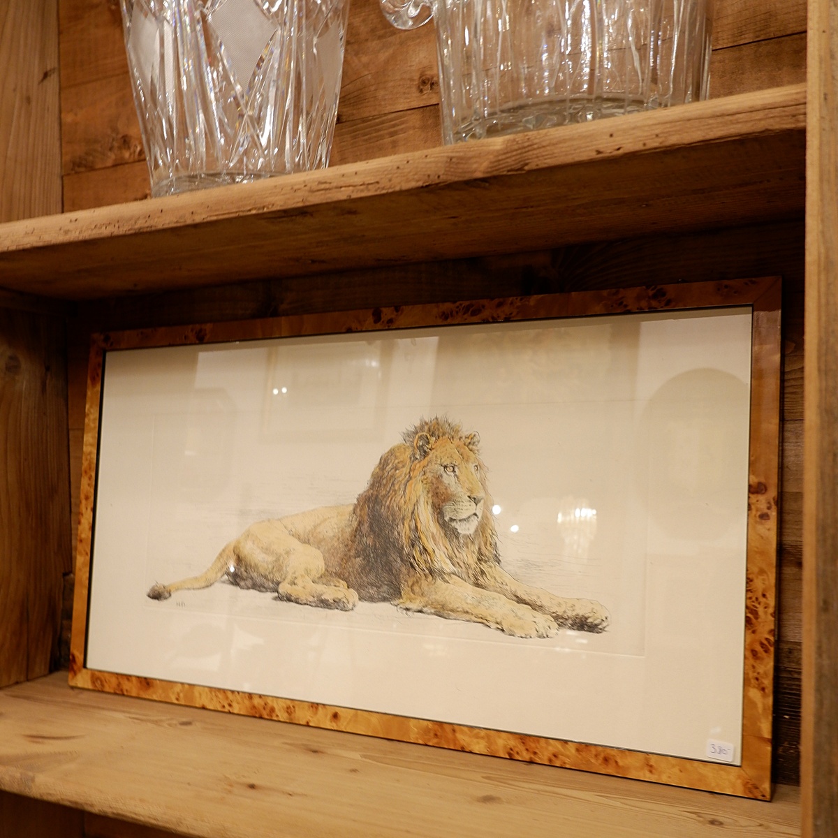 Lion, English engraving signed H.D. - Herbert Dicksee (1862-1942)